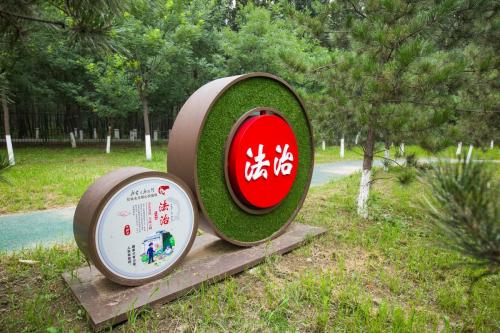 1520849196471049991.jpg 1520727713221337.jpg