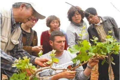 德国葡萄酒专家马克·林顿:“我要加倍努力,传承好外祖父与中国的情谊”