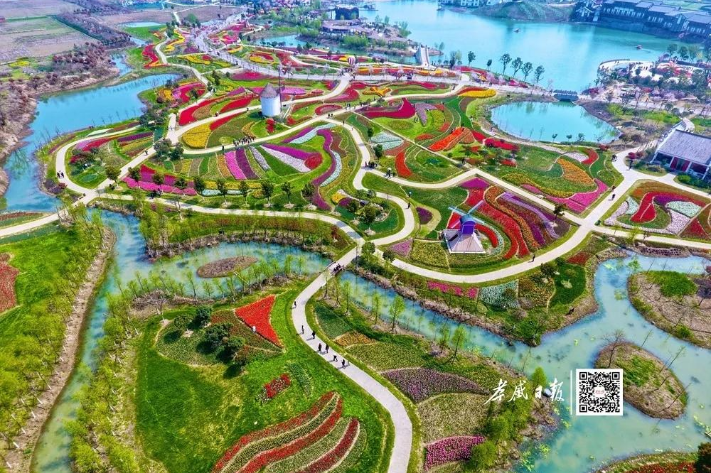 2019年全省休闲农业示范点名单公示 孝感24个单位入围