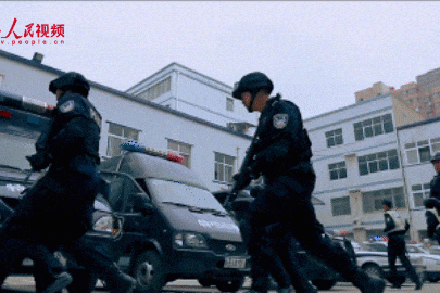 威慑力！打财断血十亿元，这个地方黑老大彻底蔫了