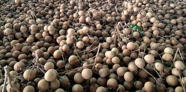 1566567267150095654.png 微信截图_20190823213403.png