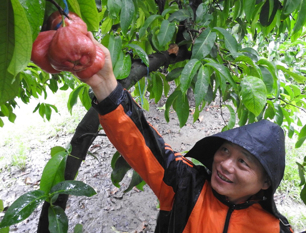 1566567100810081420.png 微信截图_20190823212840.png