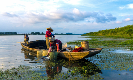 改善水环境，这些城市滞后了！