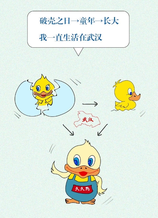 WechatIMG730 WechatIMG730