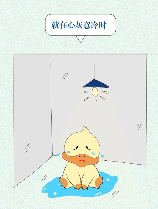 WechatIMG738 WechatIMG738