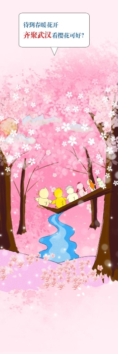 WechatIMG741 WechatIMG741