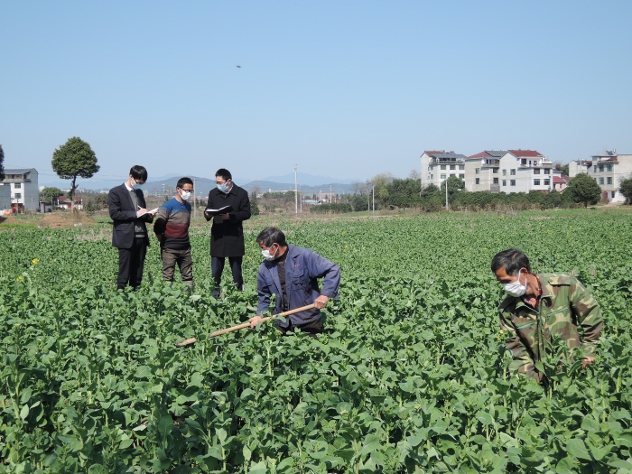 85f71c4f8cc9f2c4167544238a75090d