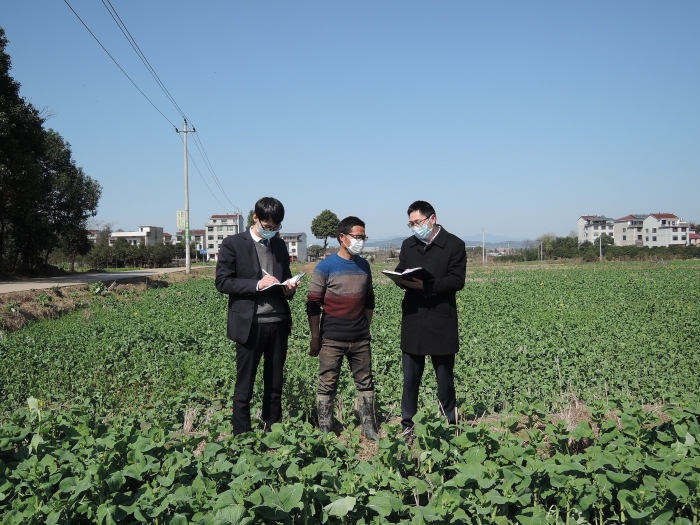 943d71217b7576460736c6be252dca7b