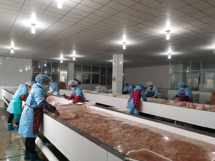 南京欧嘉食品科技有限公司复工后的车间